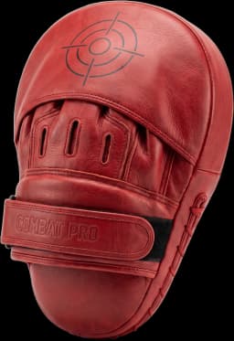 Sparring Mitt